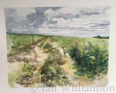 Pheasant at Ridlington, Norfold